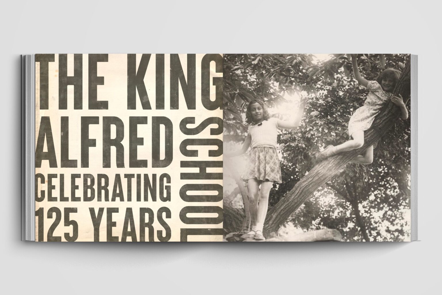King Alfred School pages 2